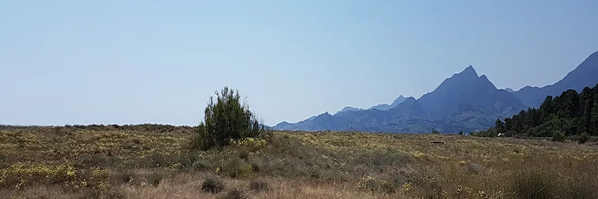 image-installateur-carport-solaire-elne.webp Image Installateur carport solaire Elne