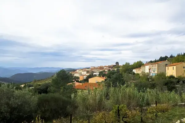 Carport Solaire 66 Installateur carport solaire Lesquerde