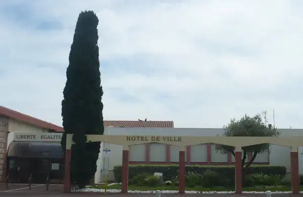 Carport Solaire 66 Installateur carport solaire Saleilles