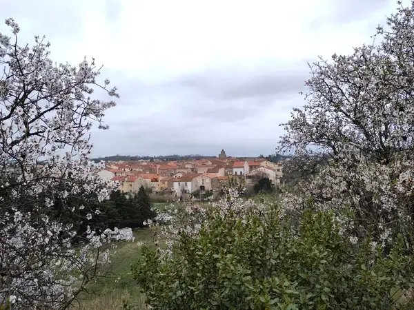 Carport Solaire 66 Installateur carport solaire Trouillas